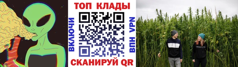 Названия наркотиков Цивильск Alpha-PVP MEGA маркетплейс МЕФ Псилоцибиновые грибы ГАШИШ Бошки Шишки