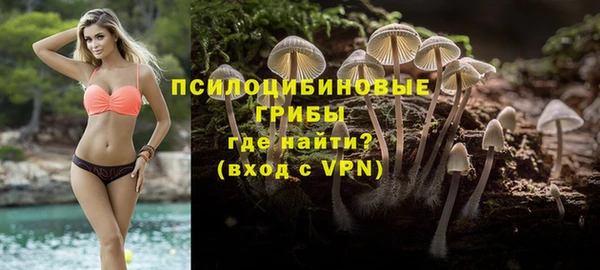 круглые Аркадак