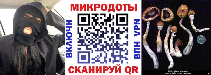 Галлюциногенные грибы MAGIC MUSHROOMS Цивильск